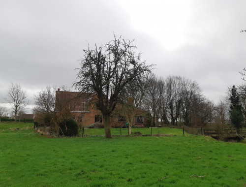 Deinze3