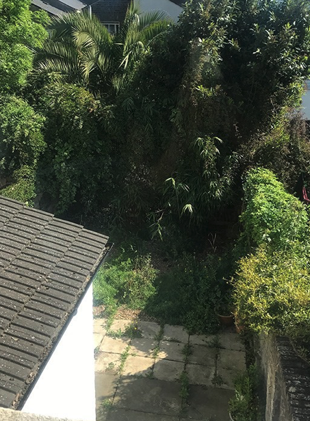Tuintransformatie 9a