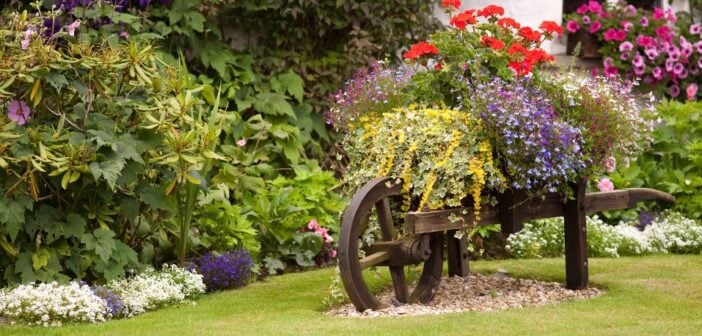 augustus-wat-moet-er-deze-maand-gebeuren-in-de-tuin