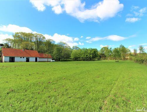 diest-3
