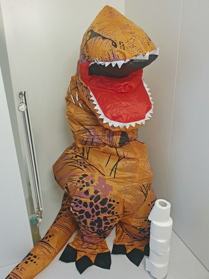 dino-verhuur3