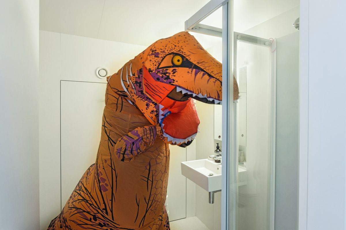 dino-verhuur5