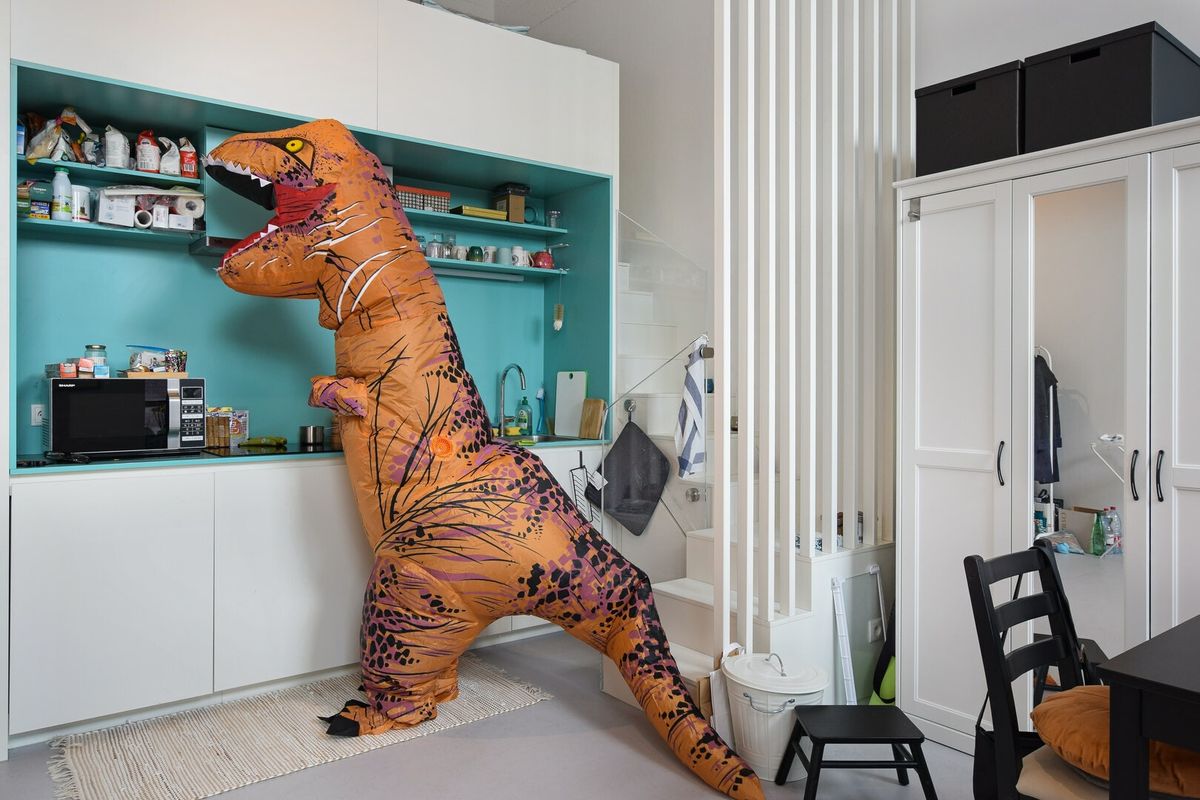 dino-verhuur9