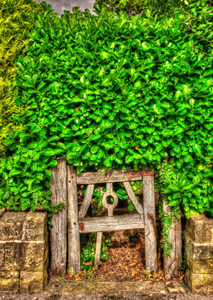 geheime-tuin-2