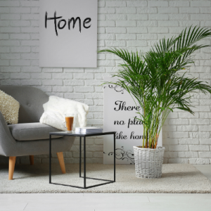 Luchtkwaliteit in huis tips