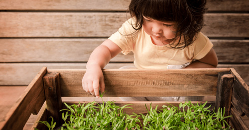 moestuin-kinderen-2