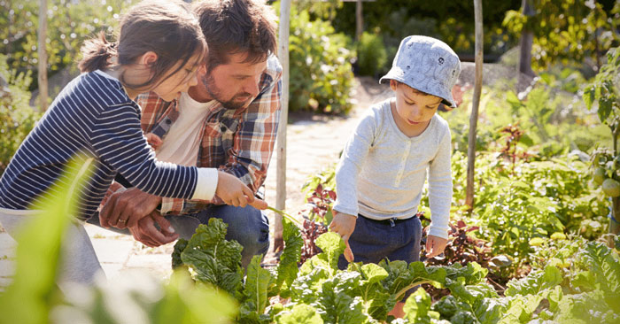 moestuin-kinderen