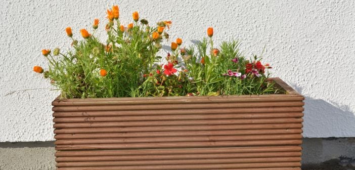 Oktober: dit moet je deze maand in de tuin doen