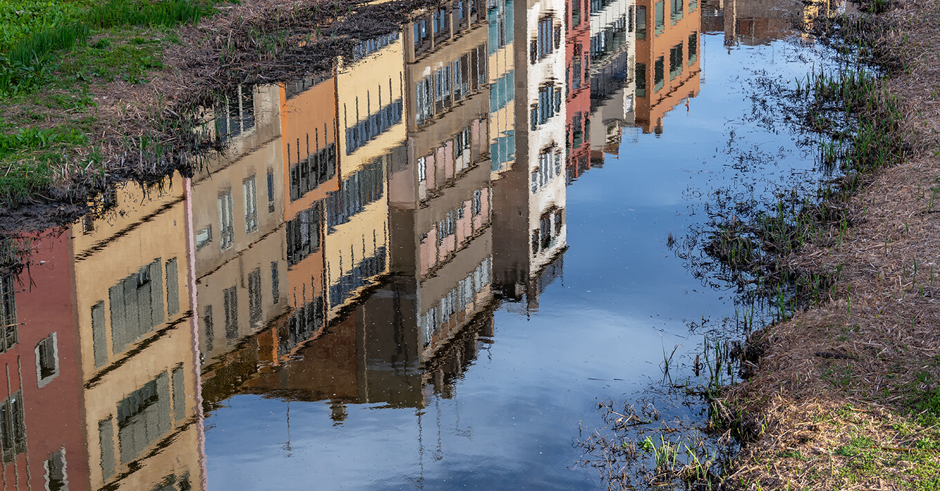 Vlaamse koper blijft ongevoelig voor overstromingsrisico