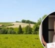 waarom-beringen-aan-populariteit-blijft-winnen