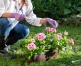 Wat mag je als huurder aanpassen in je tuin?