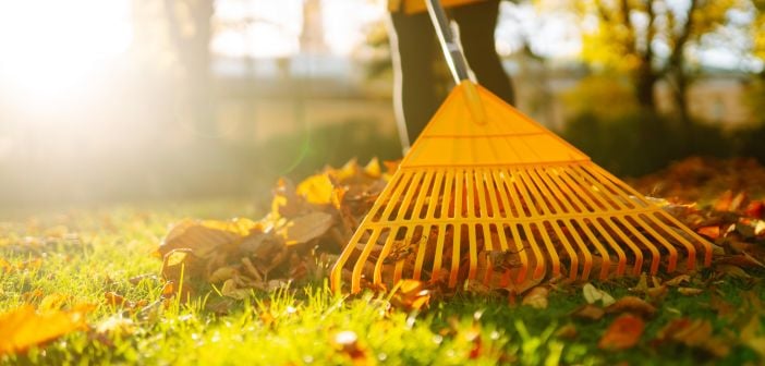 7 herfstklusjes die je nu al kunt doen